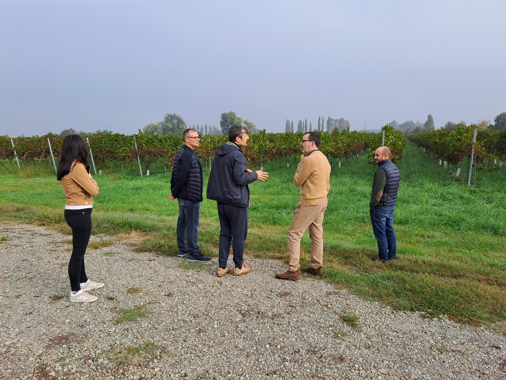 1 Quarta visita di monitoraggio