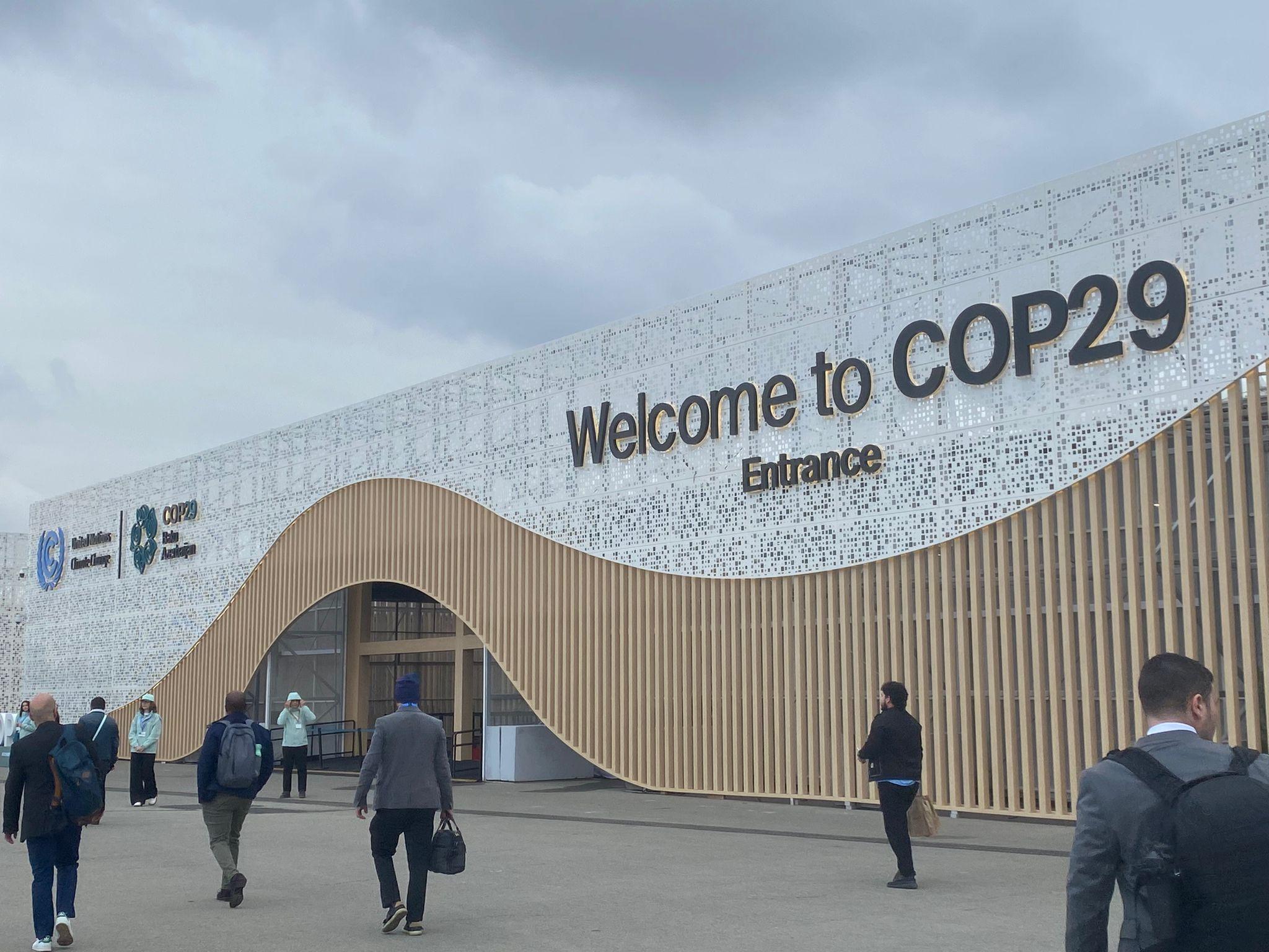 Cop29 2